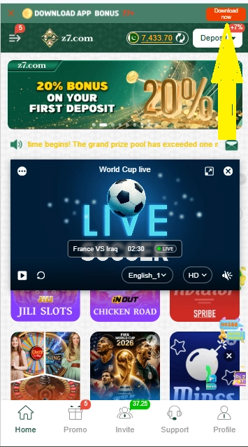 Download Z7 Game
